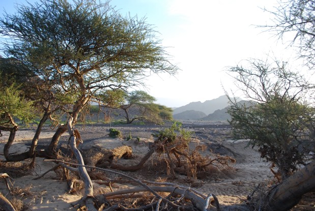 ????????????????????????????????????