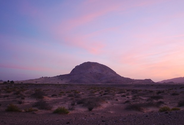 ????????????????????????????????????