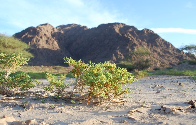 ????????????????????????????????????