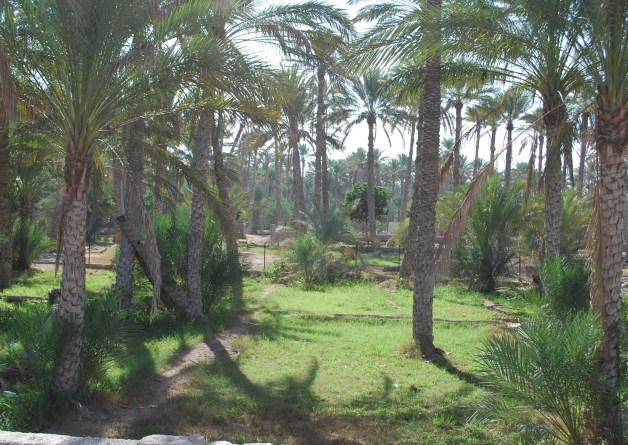 ????????????????????????????????????