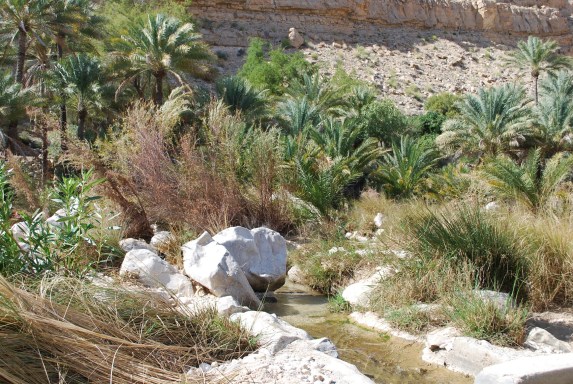 ????????????????????????????????????