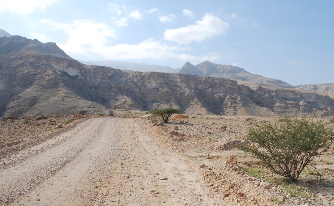 ????????????????????????????????????