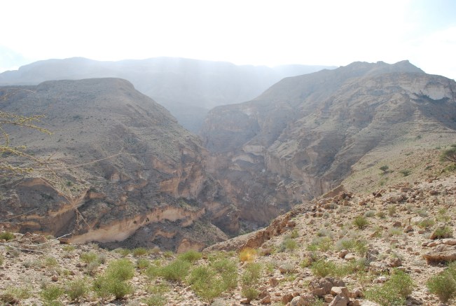 ????????????????????????????????????