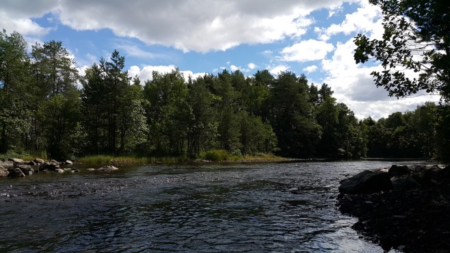 Seen, Flüsse und Wälder prägen die Landschaft in weiten Teilen Schwedens