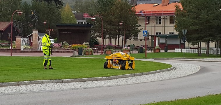 Die Rasenmäher-Roboter sind ja ganz modern hier, aber der hier ist sogar besser: ferngesteuert.